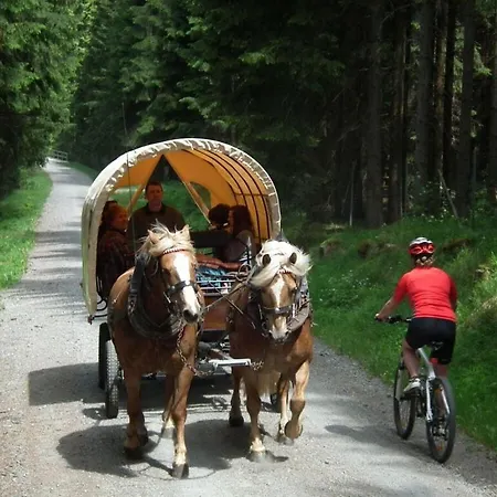 Maisonette Holiday Fichtelberg *