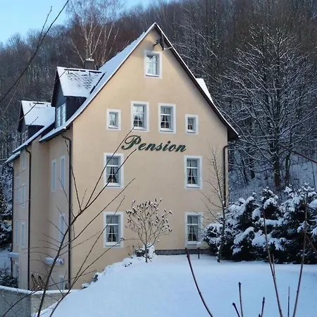 Maisonette Holiday Fichtelberg דירה *